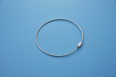 ワイヤーリング  137250　金具25