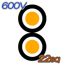 600V CVD 22sq  100m
