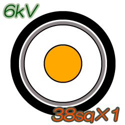 6kV CV38sq×1C 100m